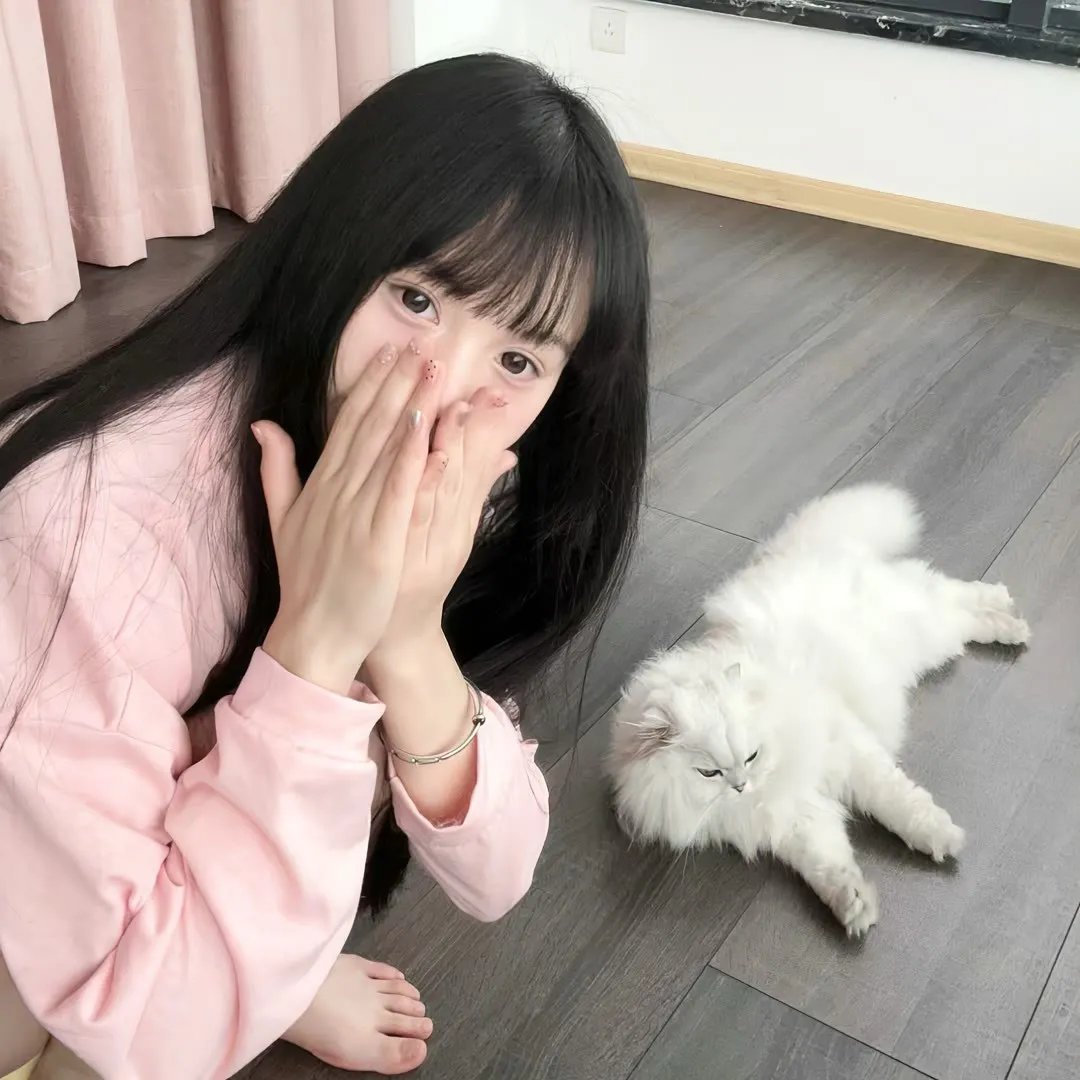 侦探事务所:诈欺猎人